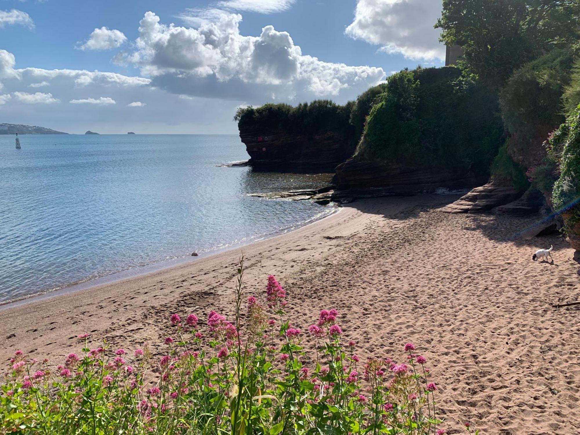 Hotel San Brelade Paignton Esterno foto